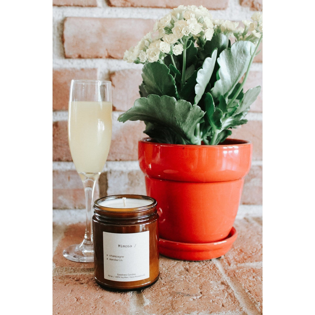 Mimosa Goodness Candles